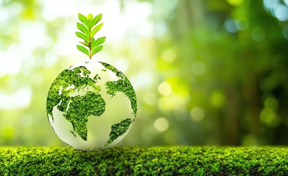 Page <b> <p style="color:#003366;"> Dahua contributes to sustainability with green products and practices </p></b> ~blog/2025/3/26/48923 3489582 55